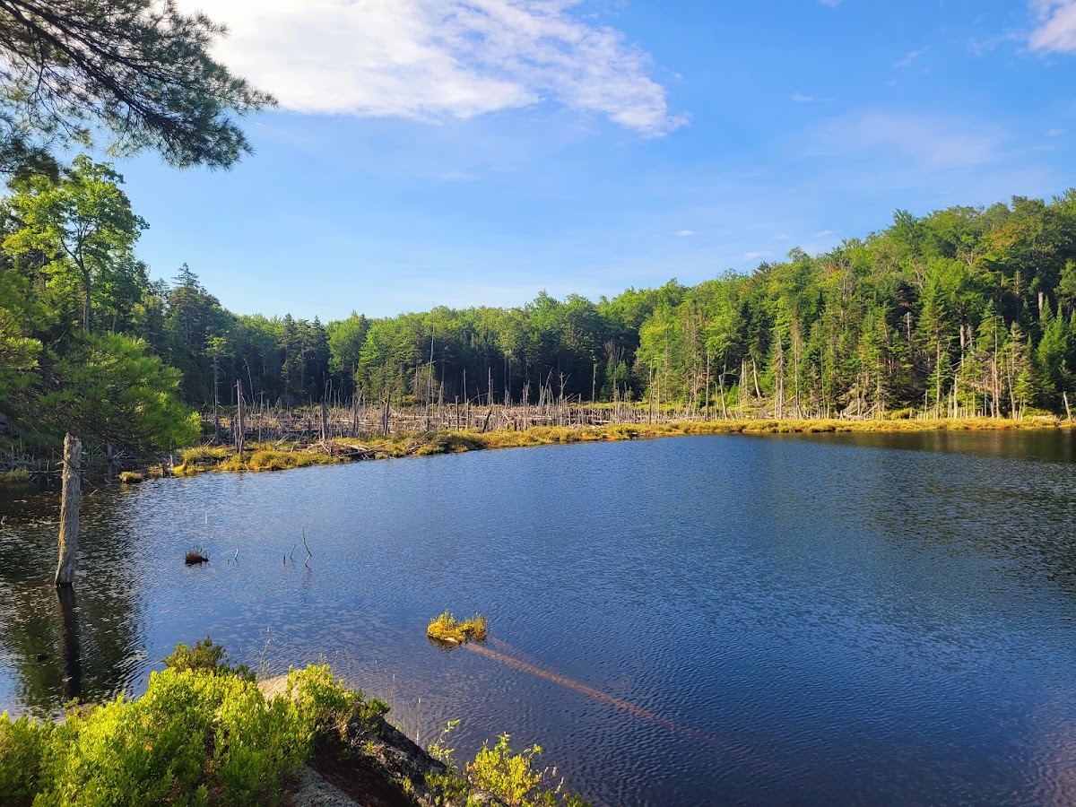 Long Pond Town Forest