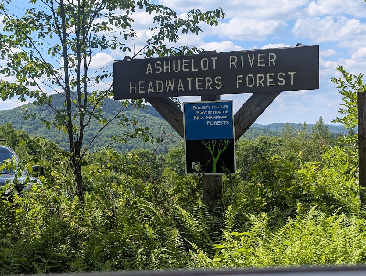 Ashuelot River Headwaters Forest