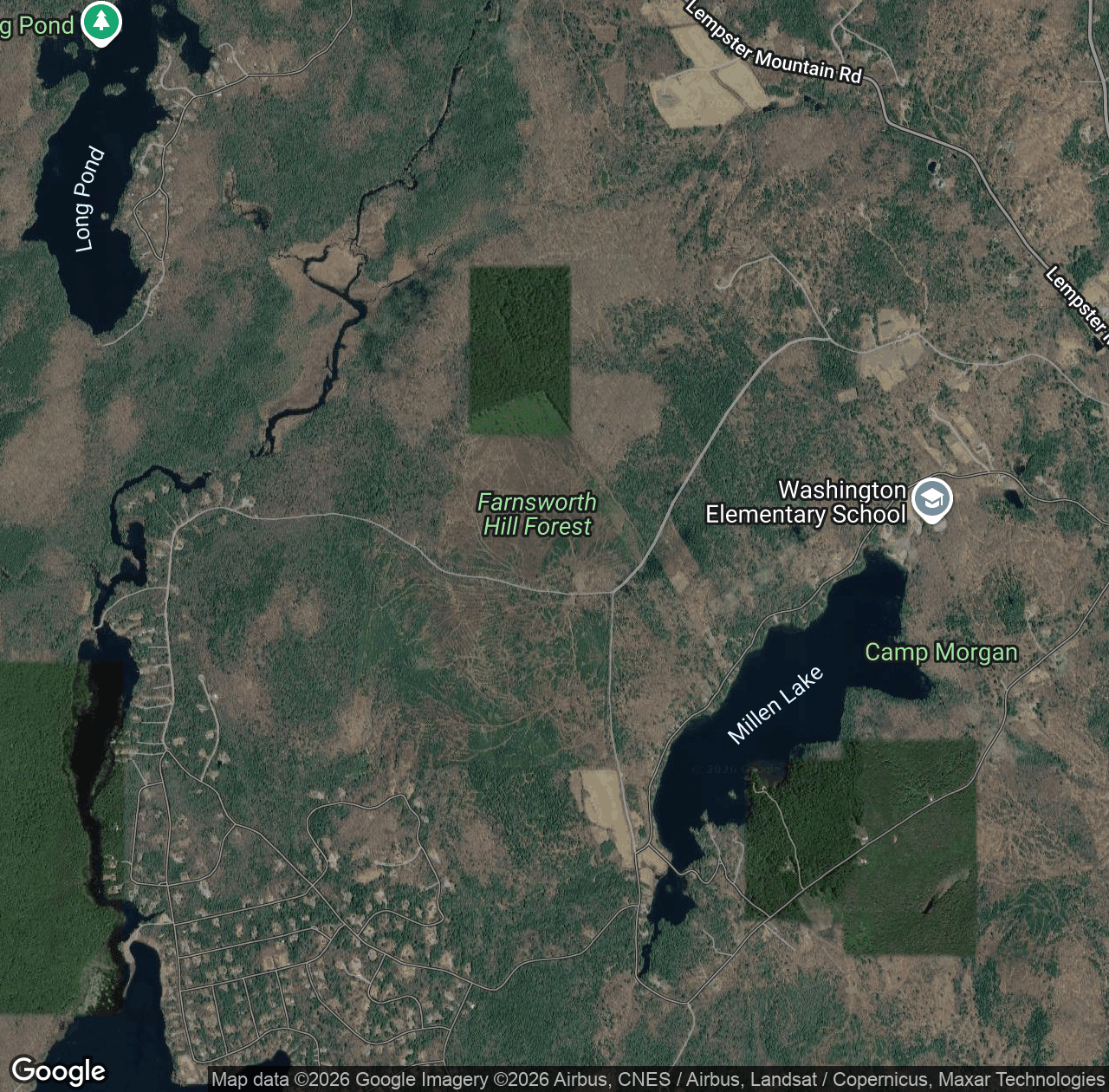 Farnsworth Hill Forest