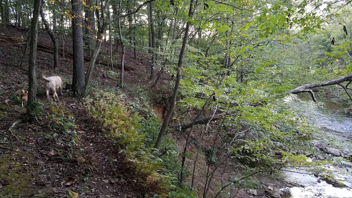 Great Seneca Creek