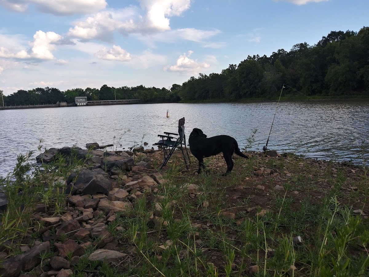 Lake Mcalester