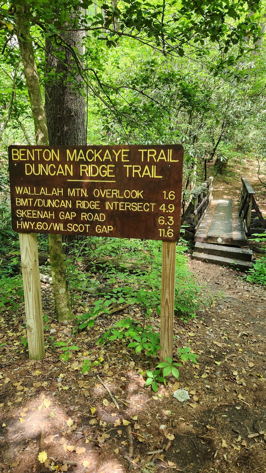 Benton MacKaye & Duncan Ridge Trail