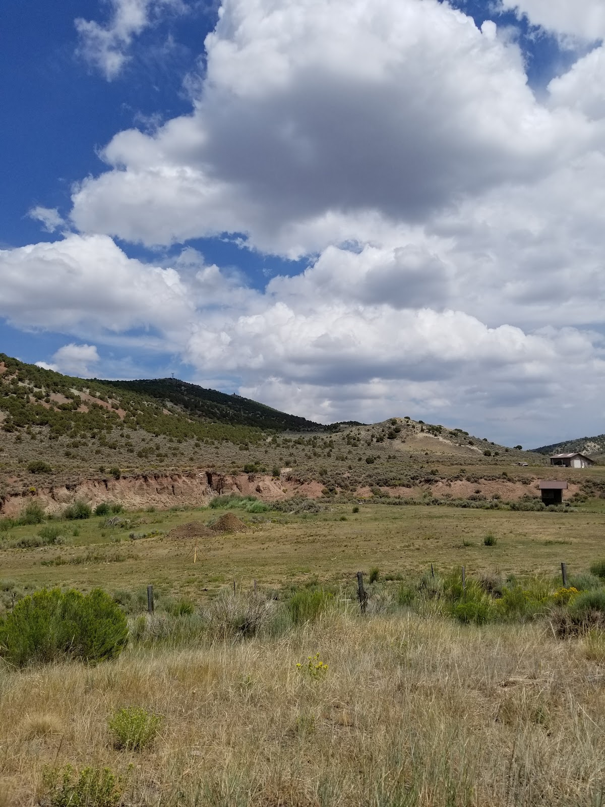 Sulphur Creek