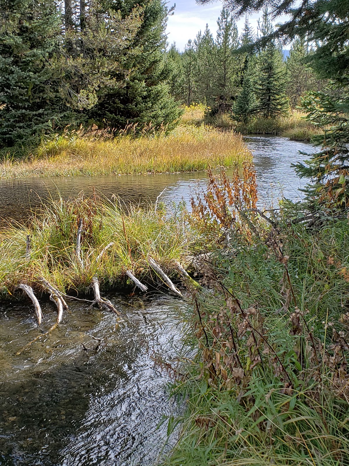 Boundary Creek