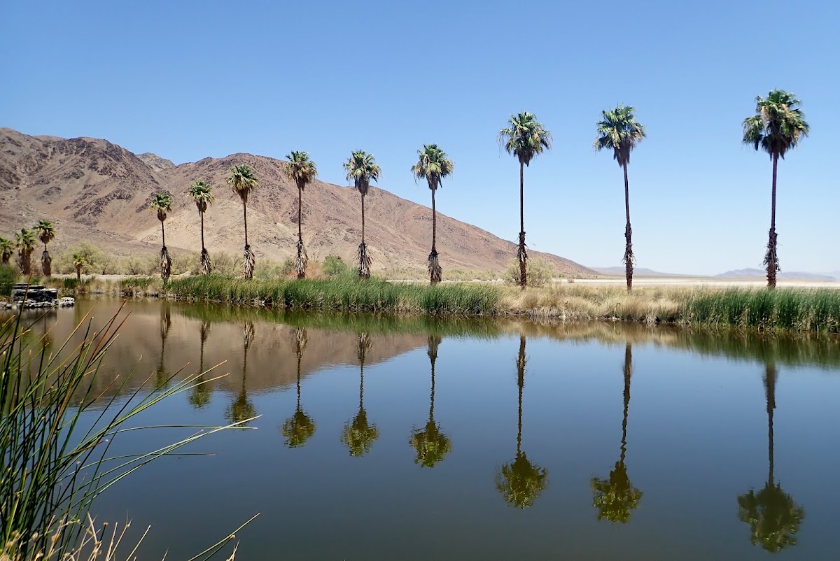 Lake Tuendae