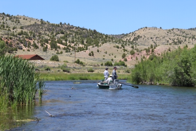 Beaverhead River