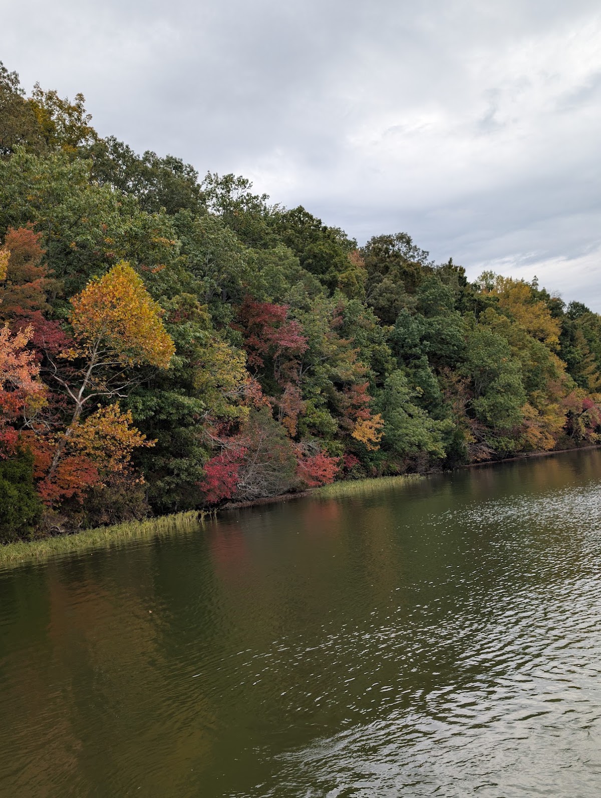 Woods Reservoir
