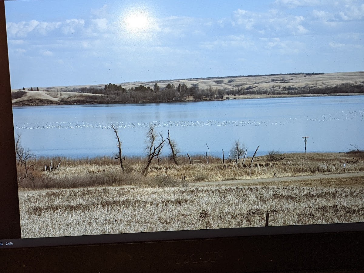 Lake Darling