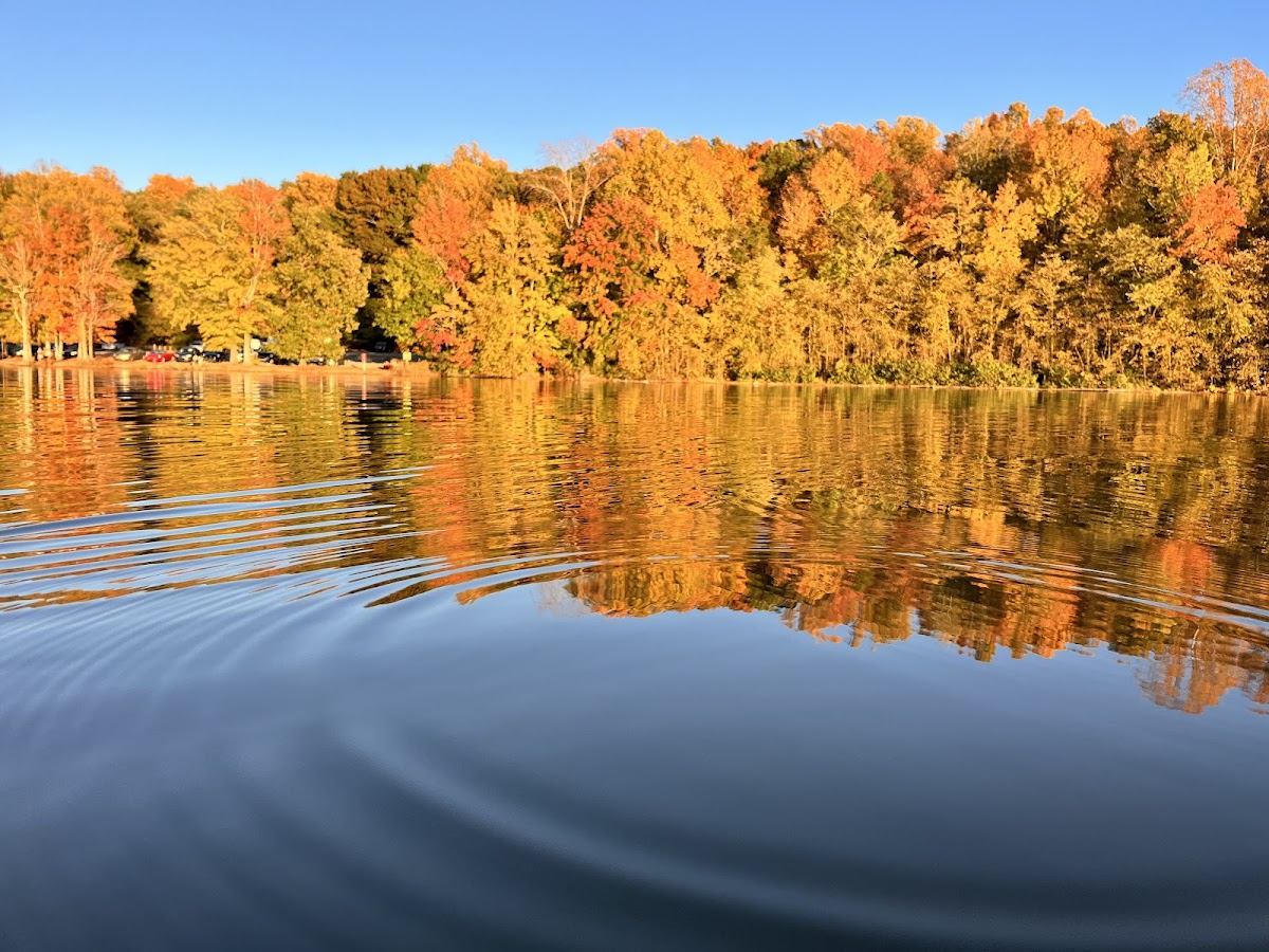 Lake Brandt
