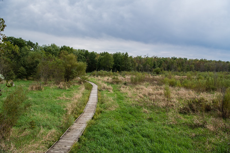 Pershing State Park