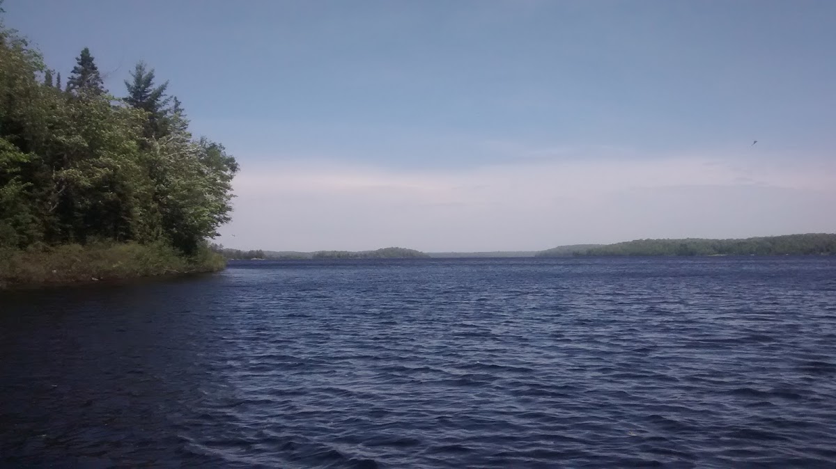 Lake Michigamme