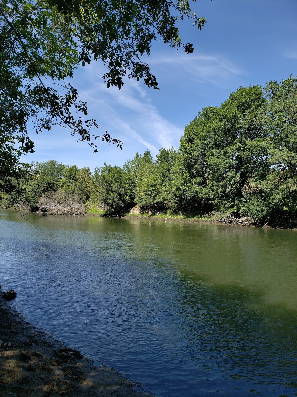 Columbia Slough