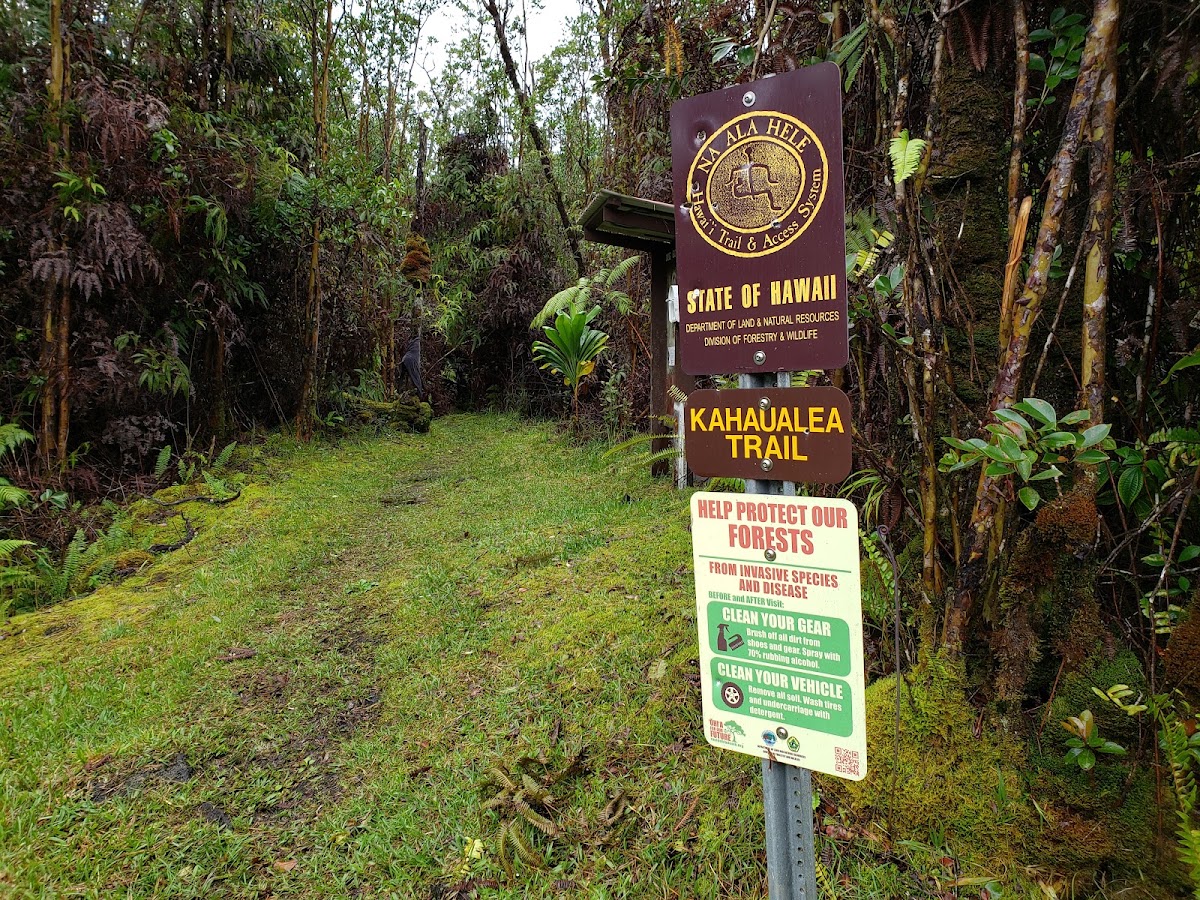 KahaualeÊ»a trail