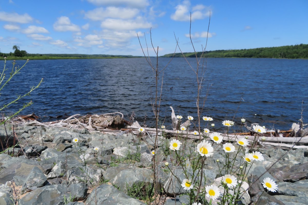 Cleveland Cliffs Basin