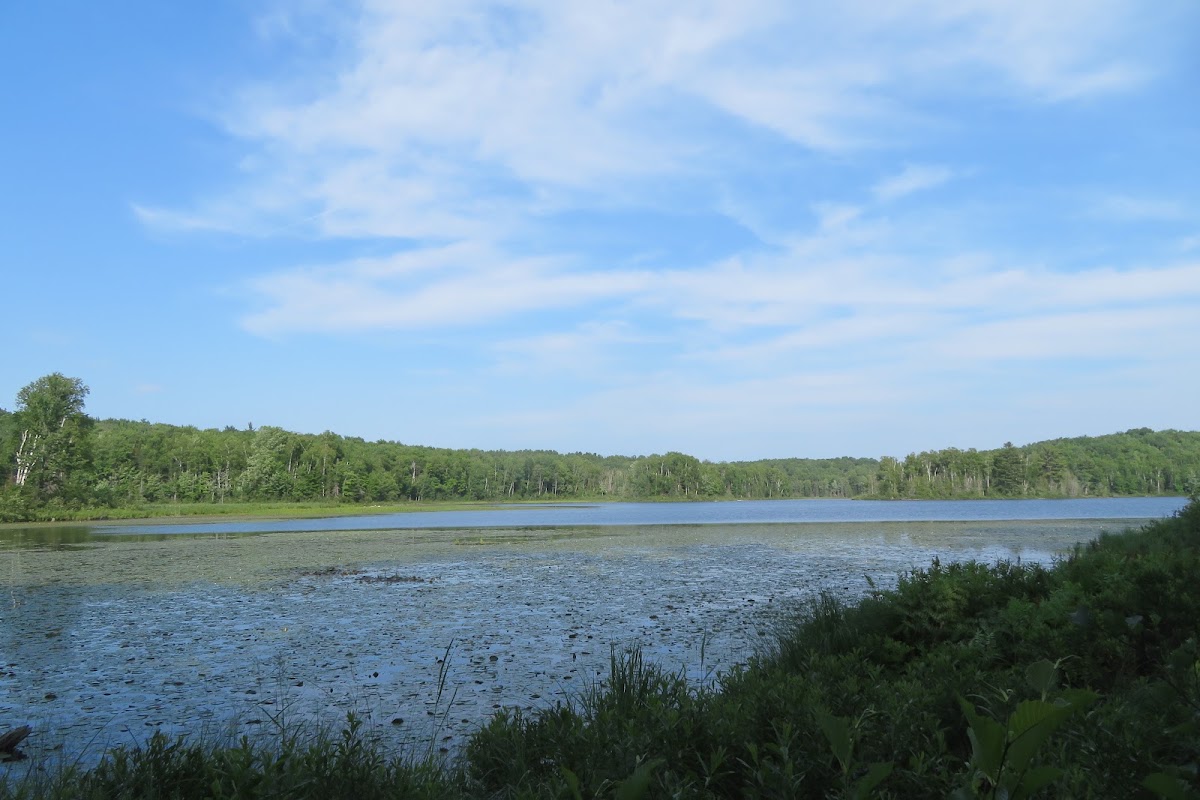Cookson Lake