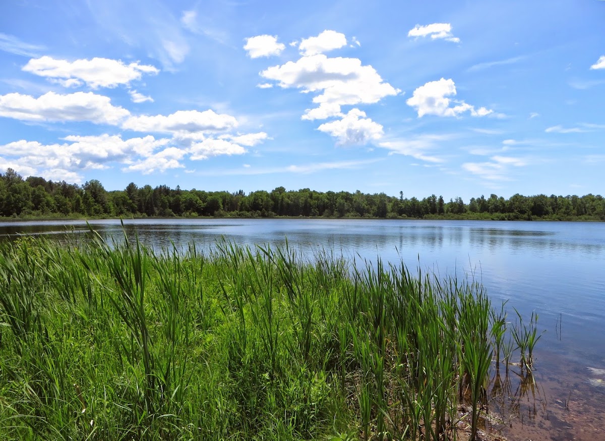 Frenchman Lake