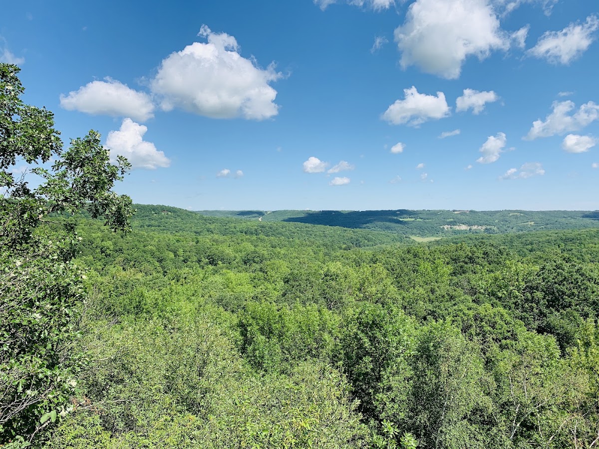 Pembina Rim Trail
