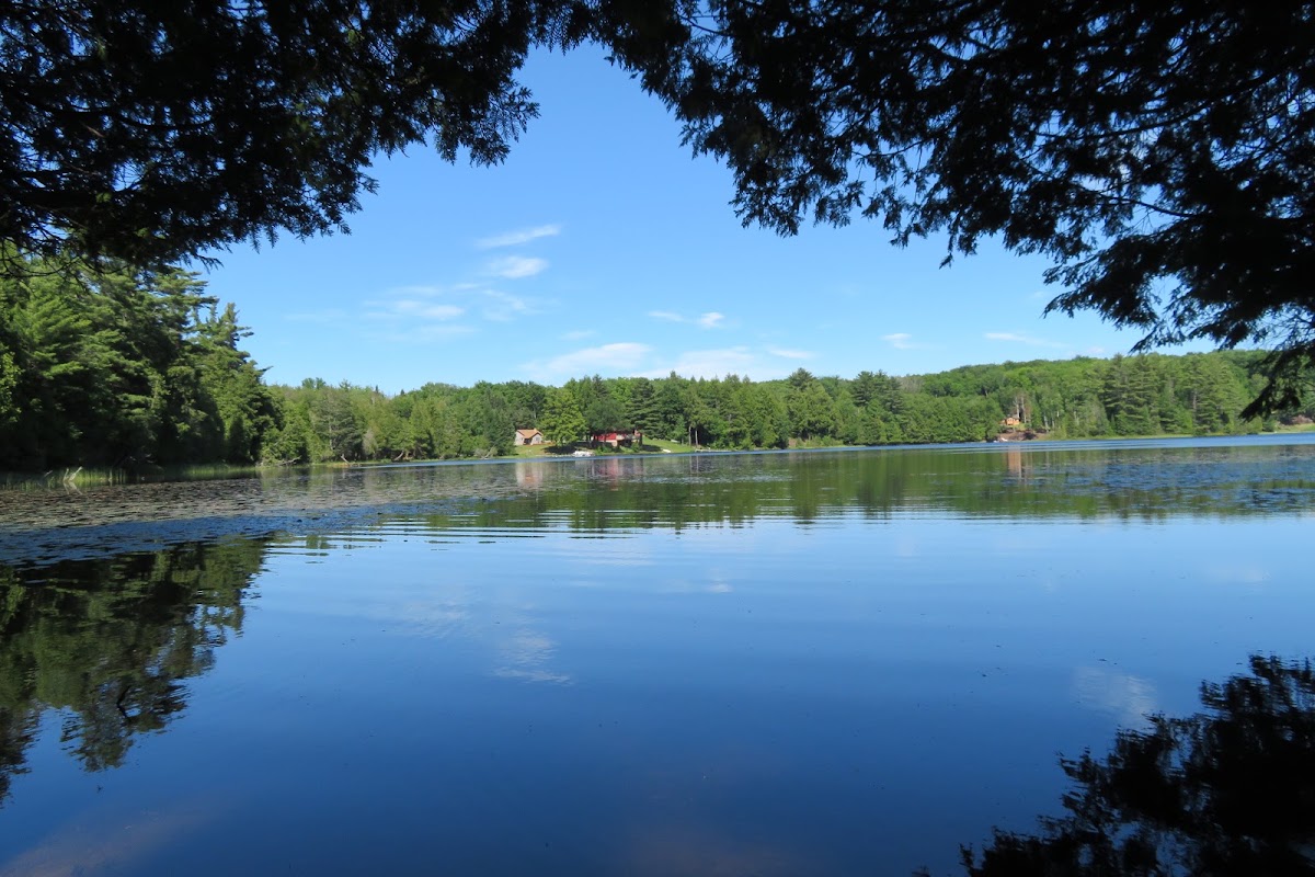 Dana Lake