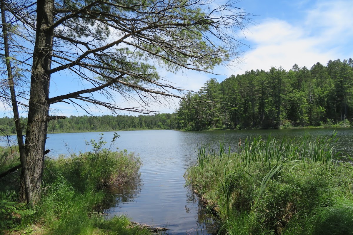 Muddy Lake