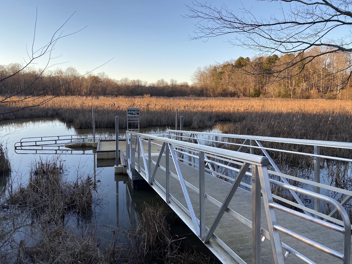 Berry Shoals Pond