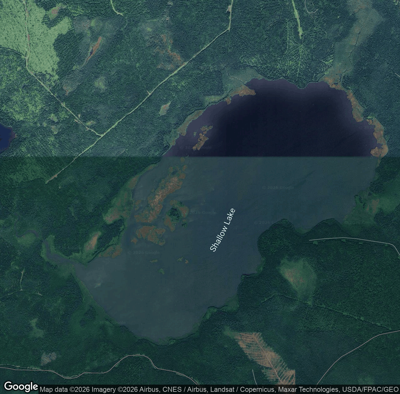 Shallow Lake