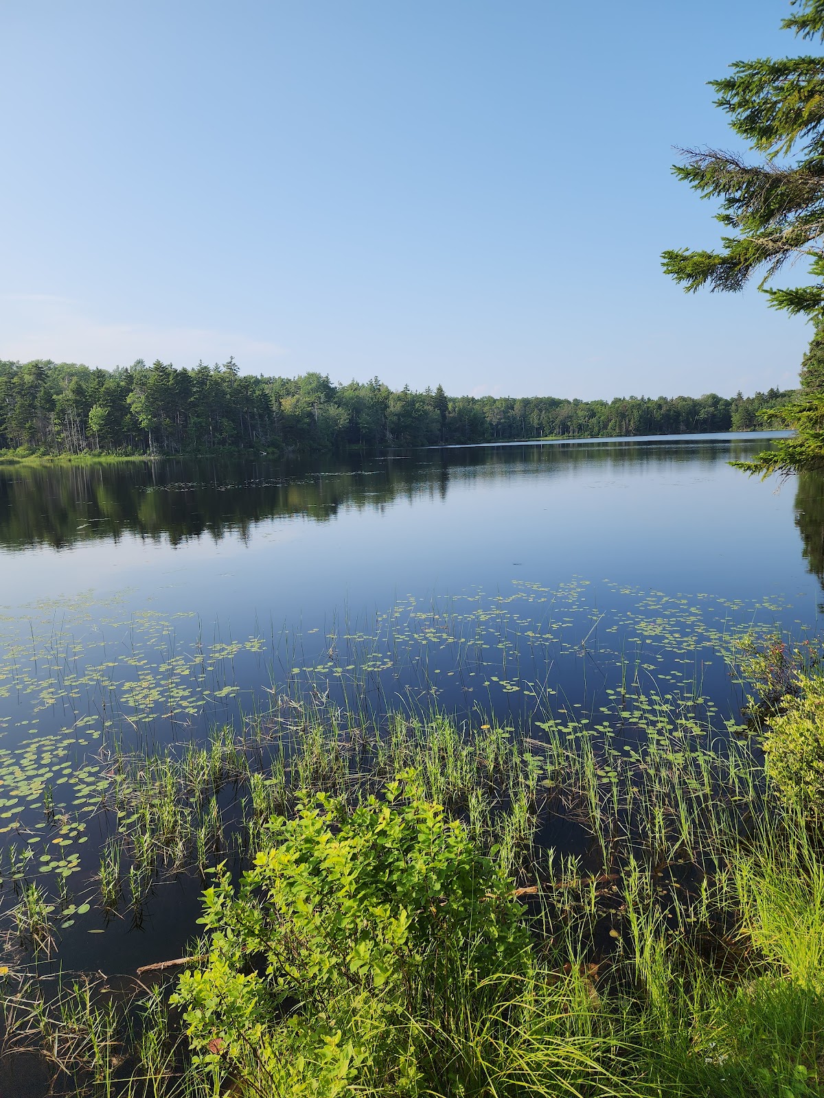 Wallingford Pond