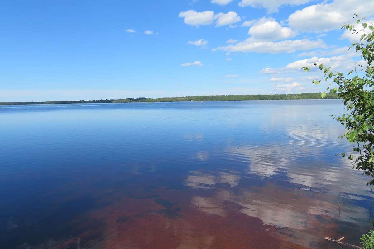 Moss Lake