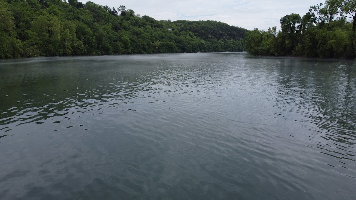 Lake Taneycomo
