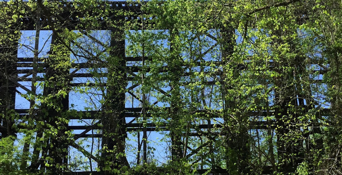1st Broad River