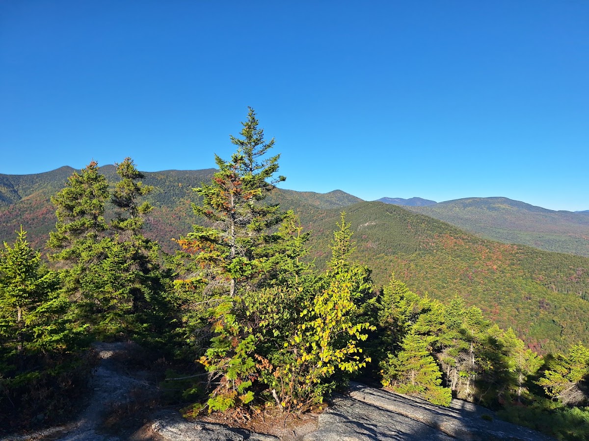 Dicey's Mill Trail