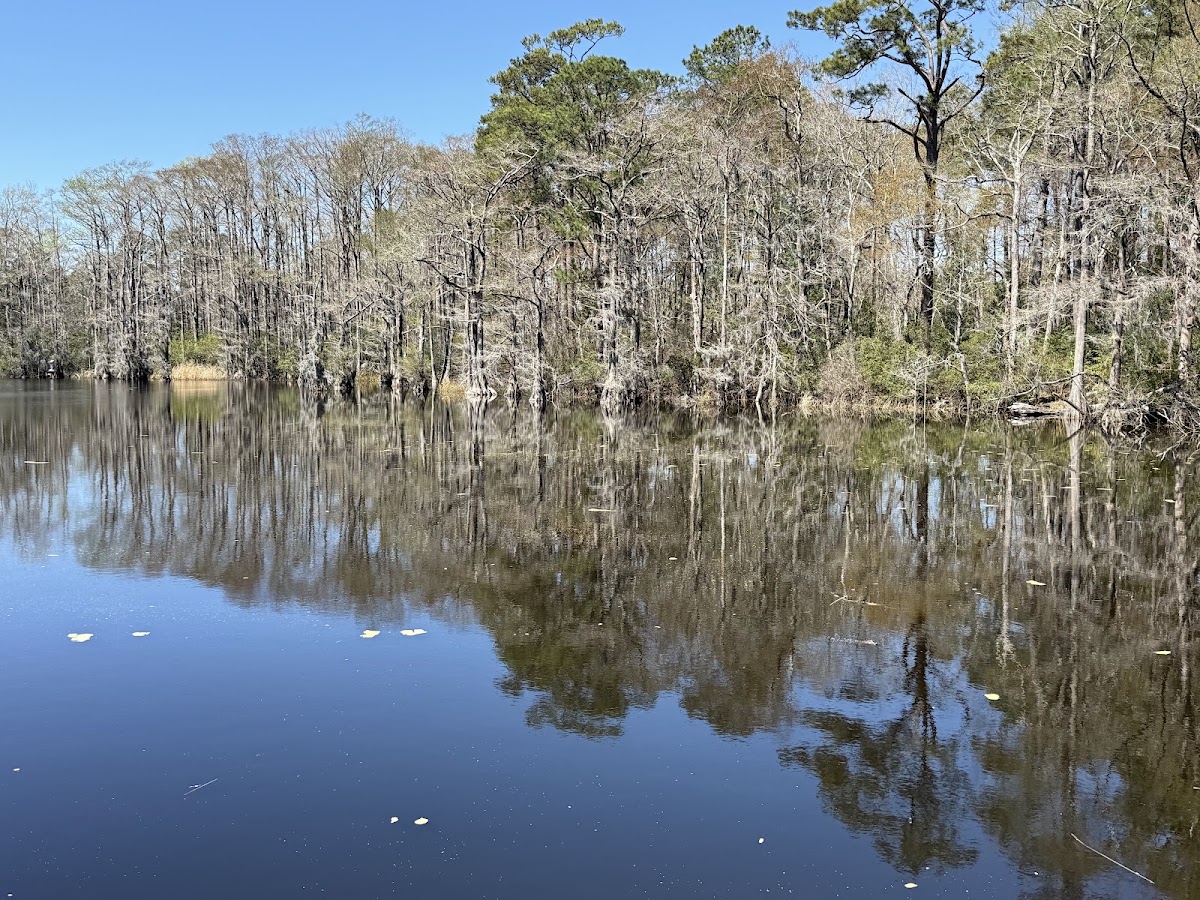 Orton Pond