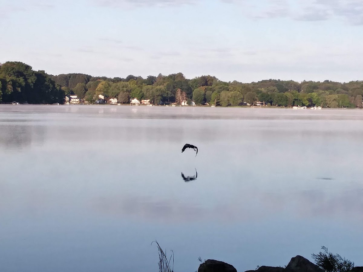 Guilford Lake