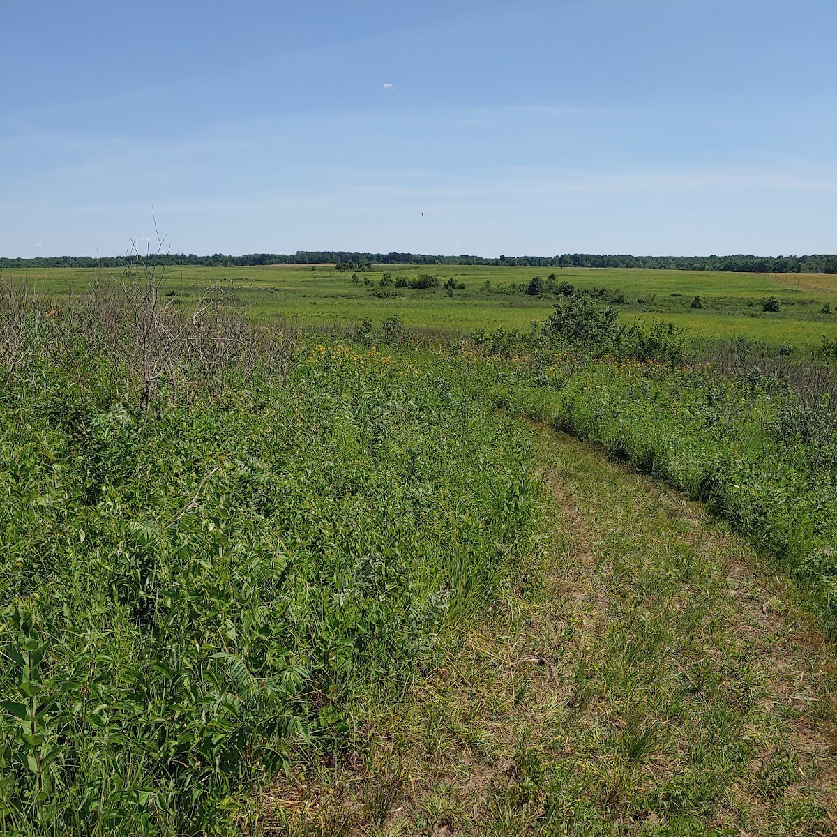 Prairie State Park