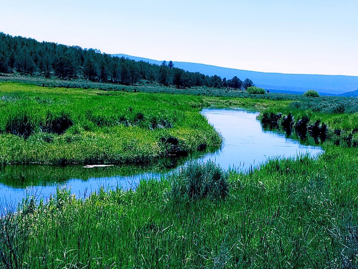 Sprague River
