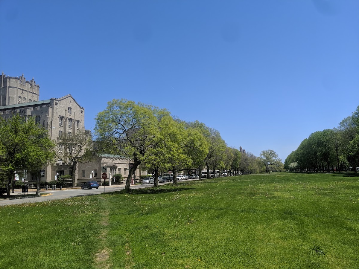 Midway Plaisance