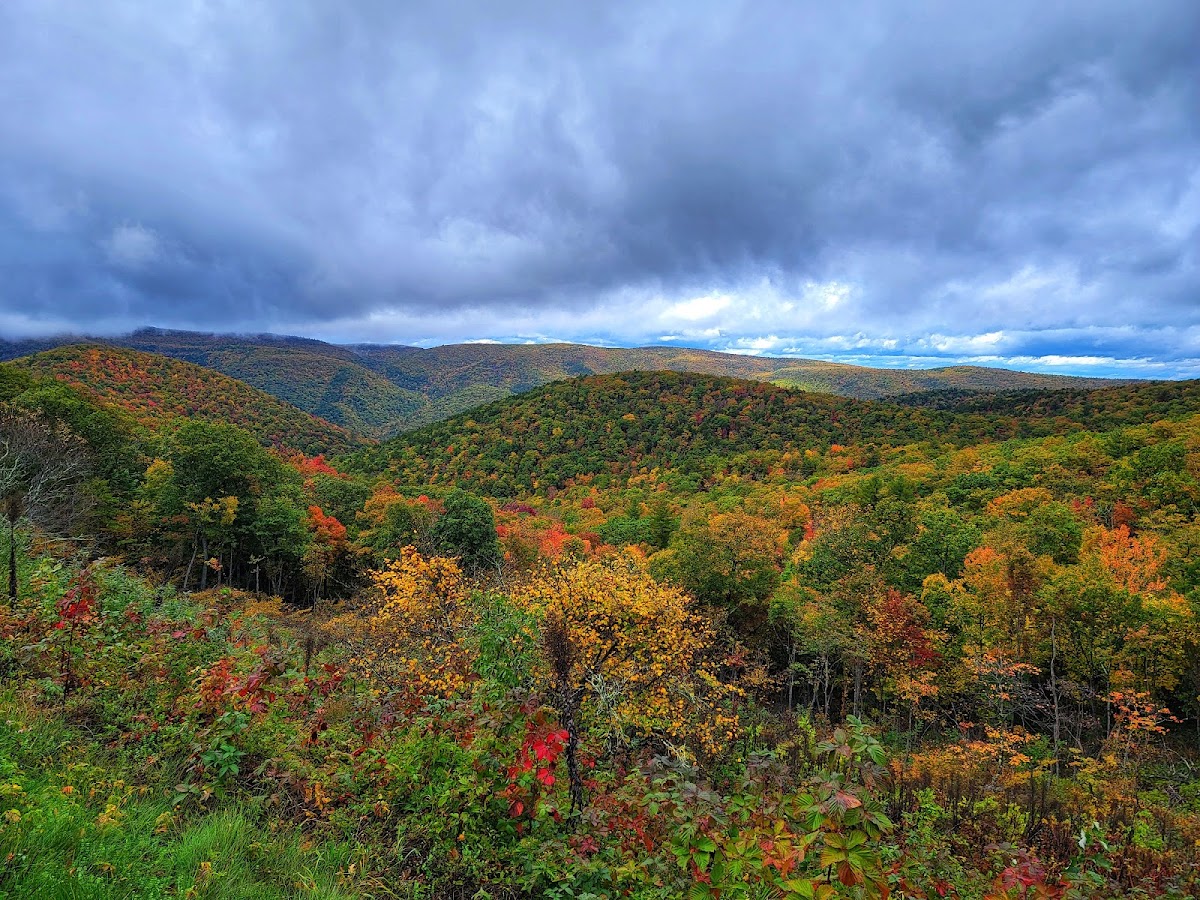 Bald Mountain Forest Road