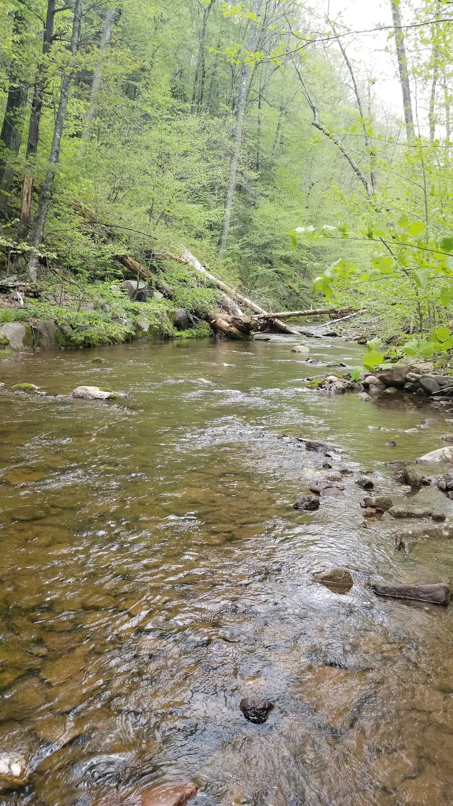 Ramsey Gap Forest Road