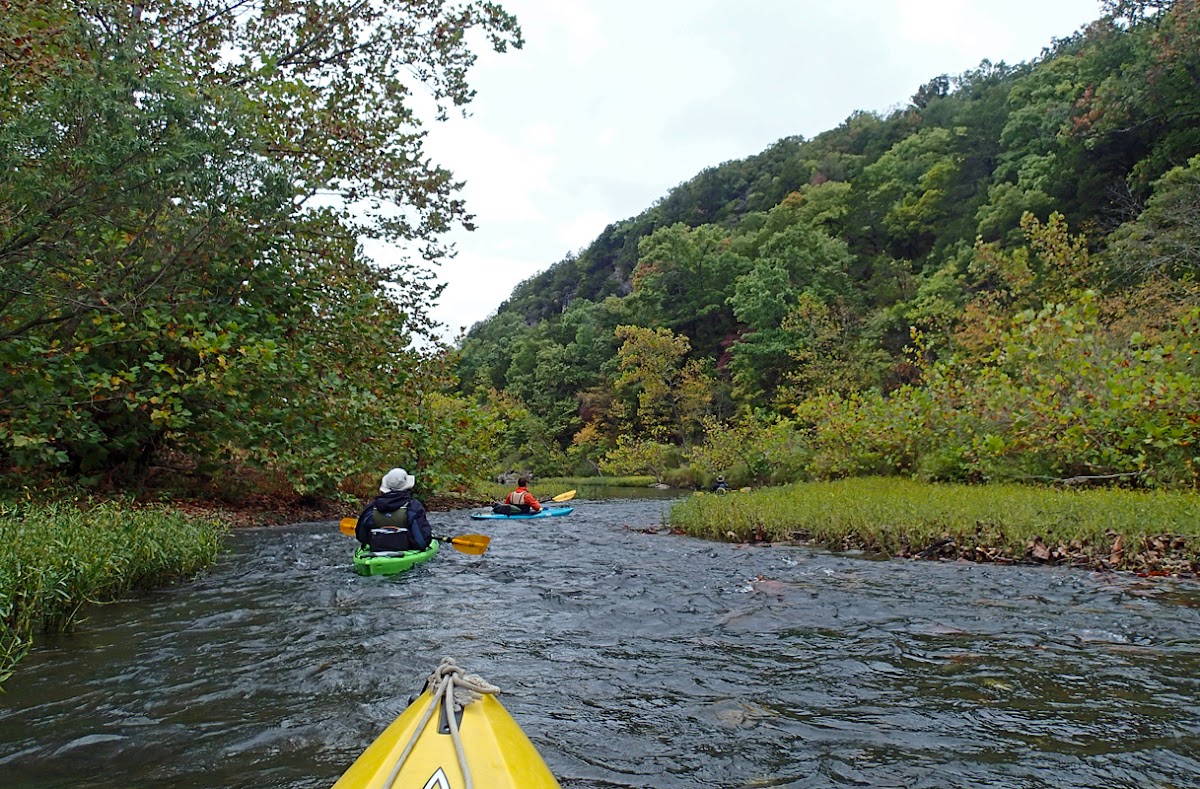 Niangua River