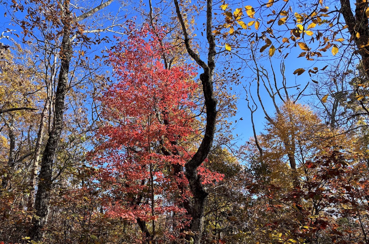 Turk Gap Trail