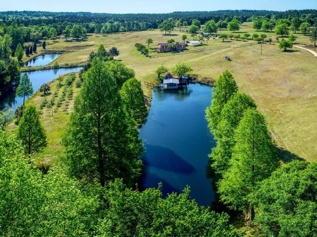 Mason Branch Reservoir
