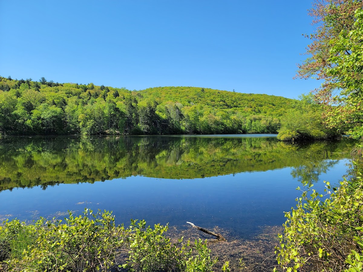 Hidden Lake