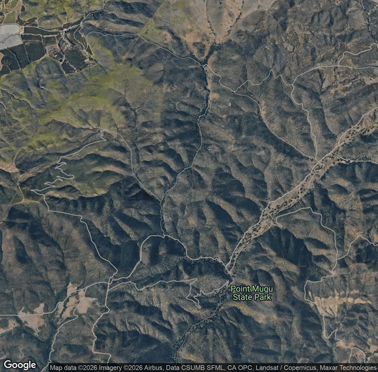 Wood Canyon Fire Road