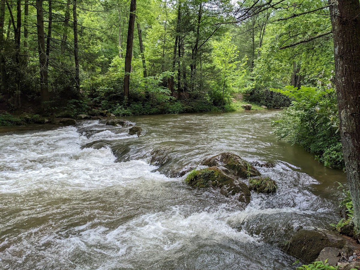Laurel Creek