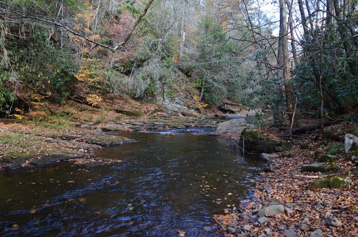 Beaver Dam Creek