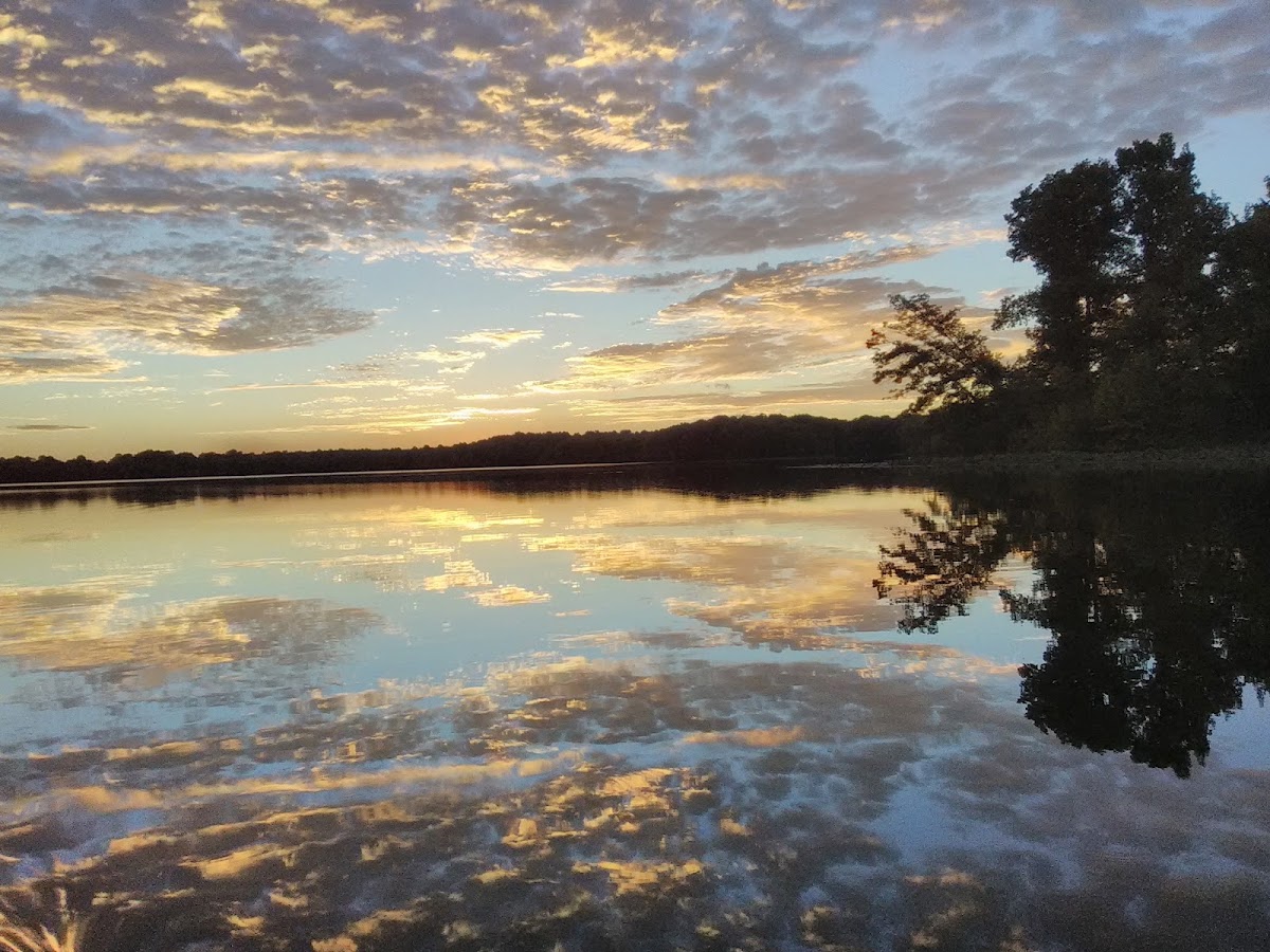 Glendale State Fish and Wildlife Area