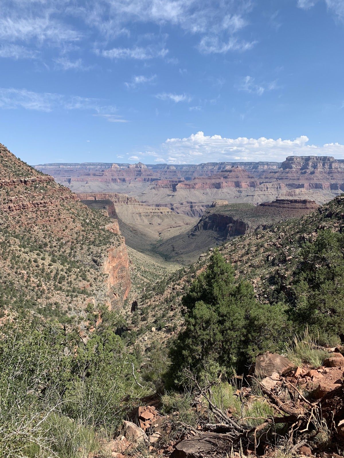 Horseshoe Mesa East Trail