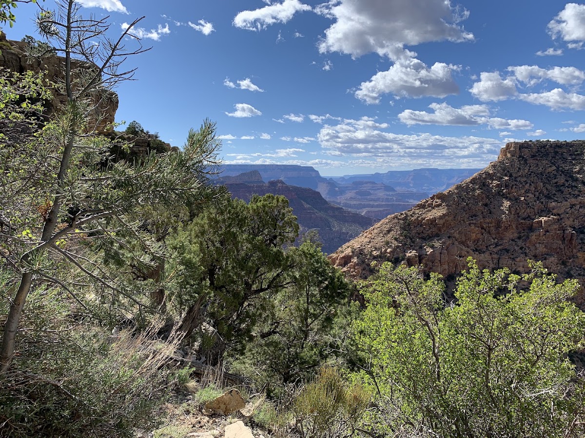 New Hance Trail
