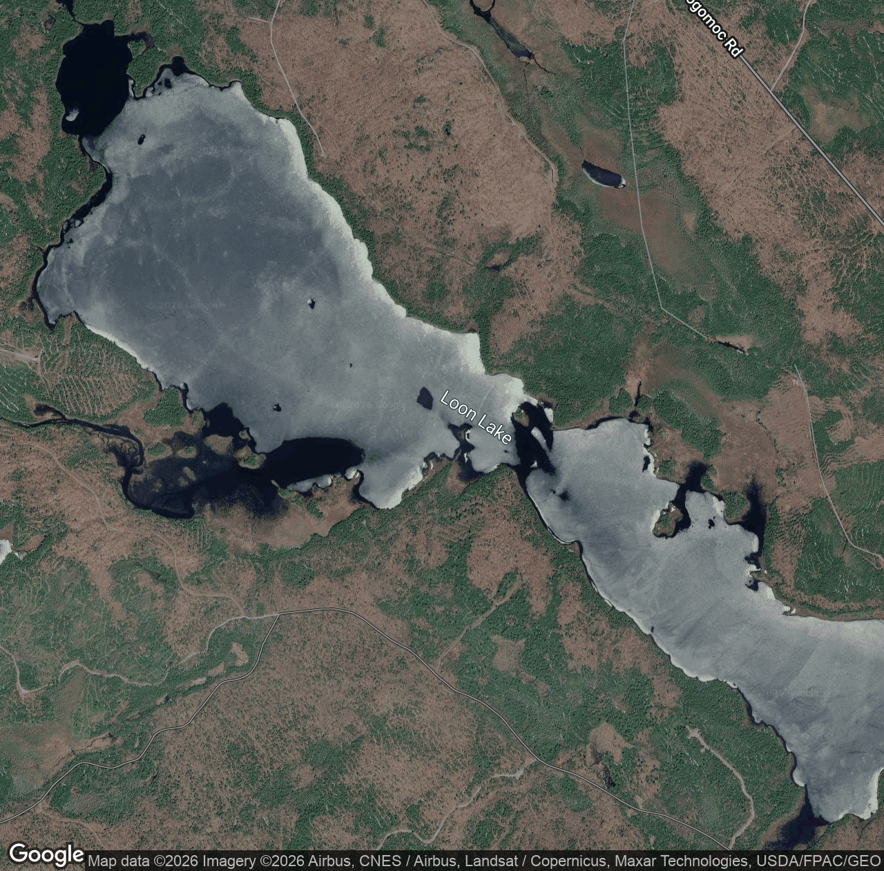 Loon Lake
