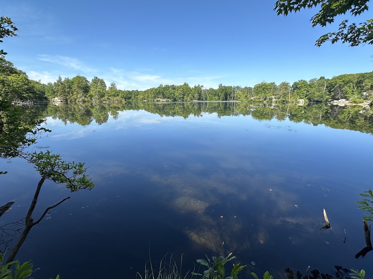 Bear Pond