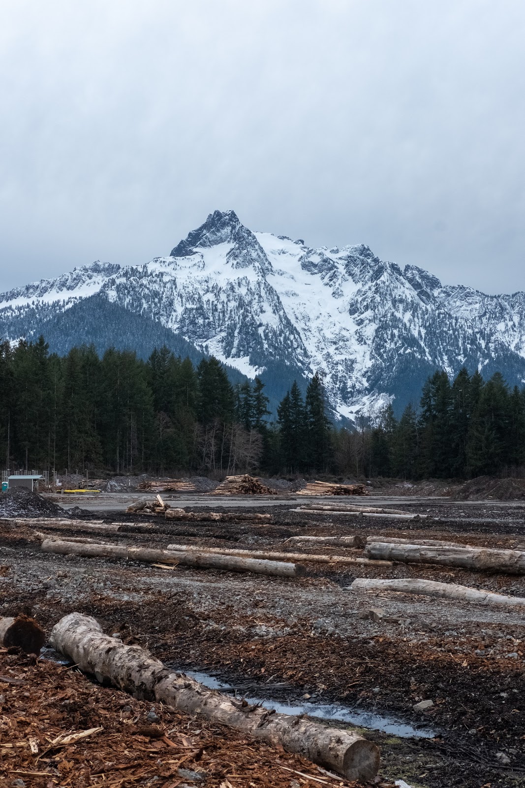 Hampton North Cascades Forest